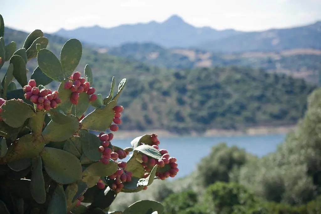 Landhaus Gasthaus Liscia Country Relais Sant’Antonio di Gallura